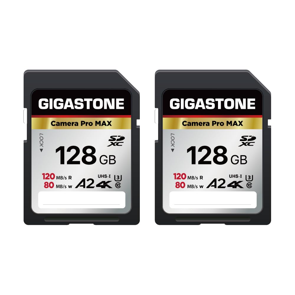 【5-Years Data Recovery】 GIGASTONE 256GB SD Card, 4K Camera Pro, A1 V30 SDXC Memory Card 4K UHD Video Compatible with Canon Digital Camera, with 1 Mini Case