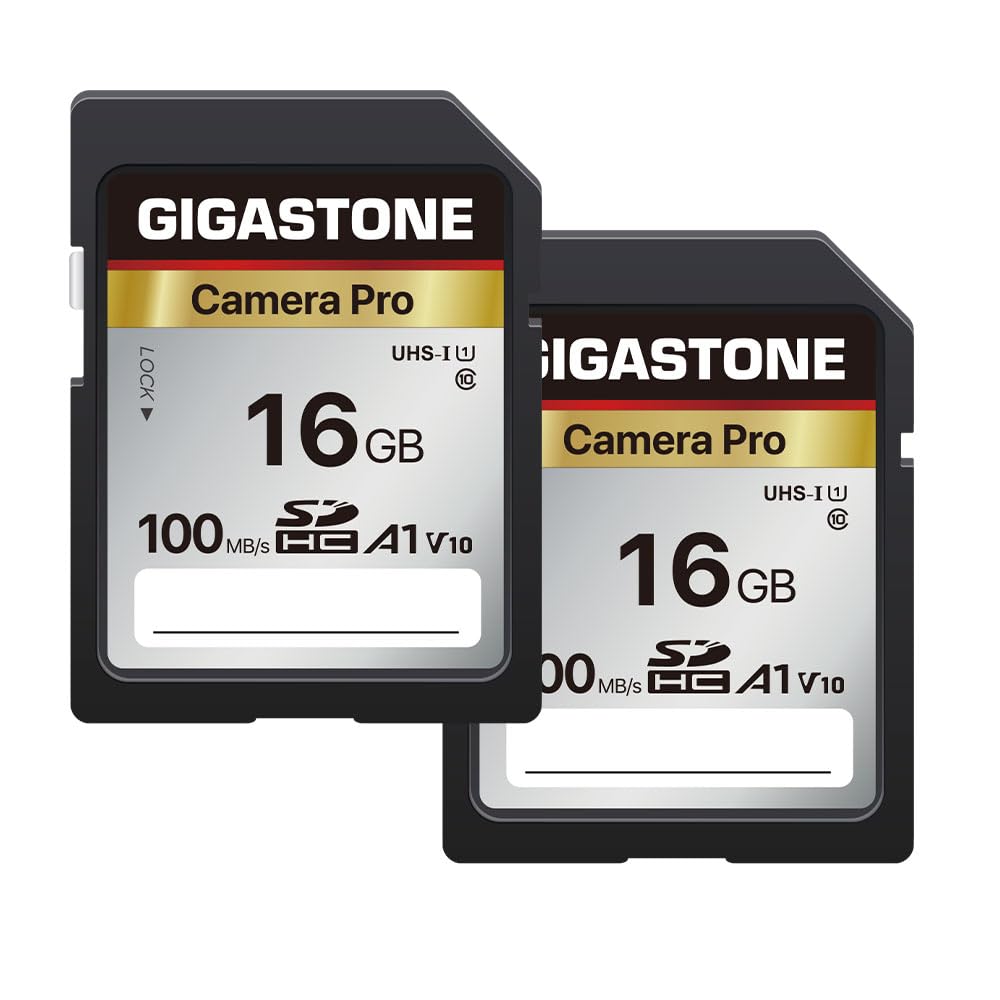 【5-Years Data Recovery】 GIGASTONE 256GB SD Card, 4K Camera Pro, A1 V30 SDXC Memory Card 4K UHD Video Compatible with Canon Digital Camera, with 1 Mini Case