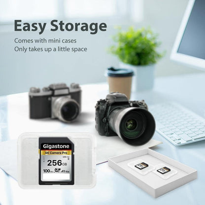 【5-Years Data Recovery】 GIGASTONE 256GB SD Card, 4K Camera Pro, A1 V30 SDXC Memory Card 4K UHD Video Compatible with Canon Digital Camera, with 1 Mini Case