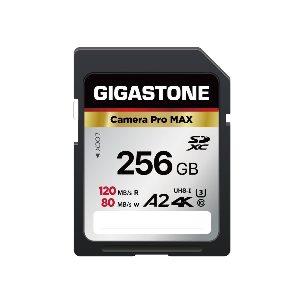 【5-Years Data Recovery】GIGASTONE 128GB SD Card, 4K Camera Pro, A1 V30 SDXC Memory Card 4K UHD Video Compatible with Canon Digital Camera, with 1 Mini Cases