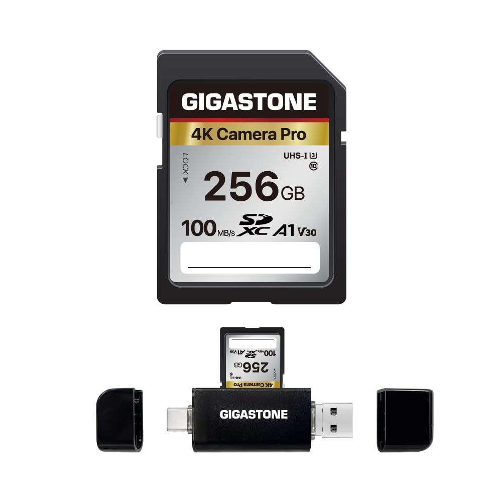 【5-Years Data Recovery】 GIGASTONE 256GB SD Card, 4K Camera Pro, A1 V30 SDXC Memory Card 4K UHD Video Compatible with Canon Digital Camera, with 1 Mini Case