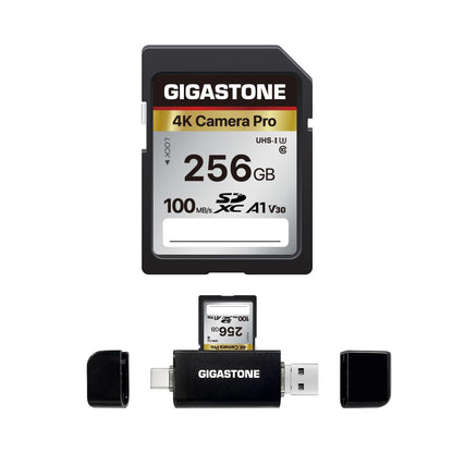 【5-Years Data Recovery】 GIGASTONE 256GB SD Card, 4K Camera Pro, A1 V30 SDXC Memory Card 4K UHD Video Compatible with Canon Digital Camera, with 1 Mini Case