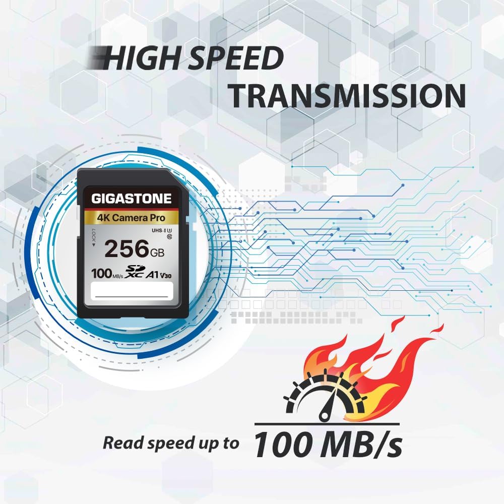 【5-Years Data Recovery】 GIGASTONE 256GB SD Card, 4K Camera Pro, A1 V30 SDXC Memory Card 4K UHD Video Compatible with Canon Digital Camera, with 1 Mini Case