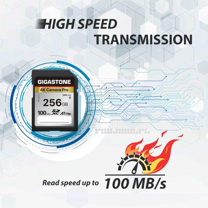 【5-Years Data Recovery】 GIGASTONE 256GB SD Card, 4K Camera Pro, A1 V30 SDXC Memory Card 4K UHD Video Compatible with Canon Digital Camera, with 1 Mini Case