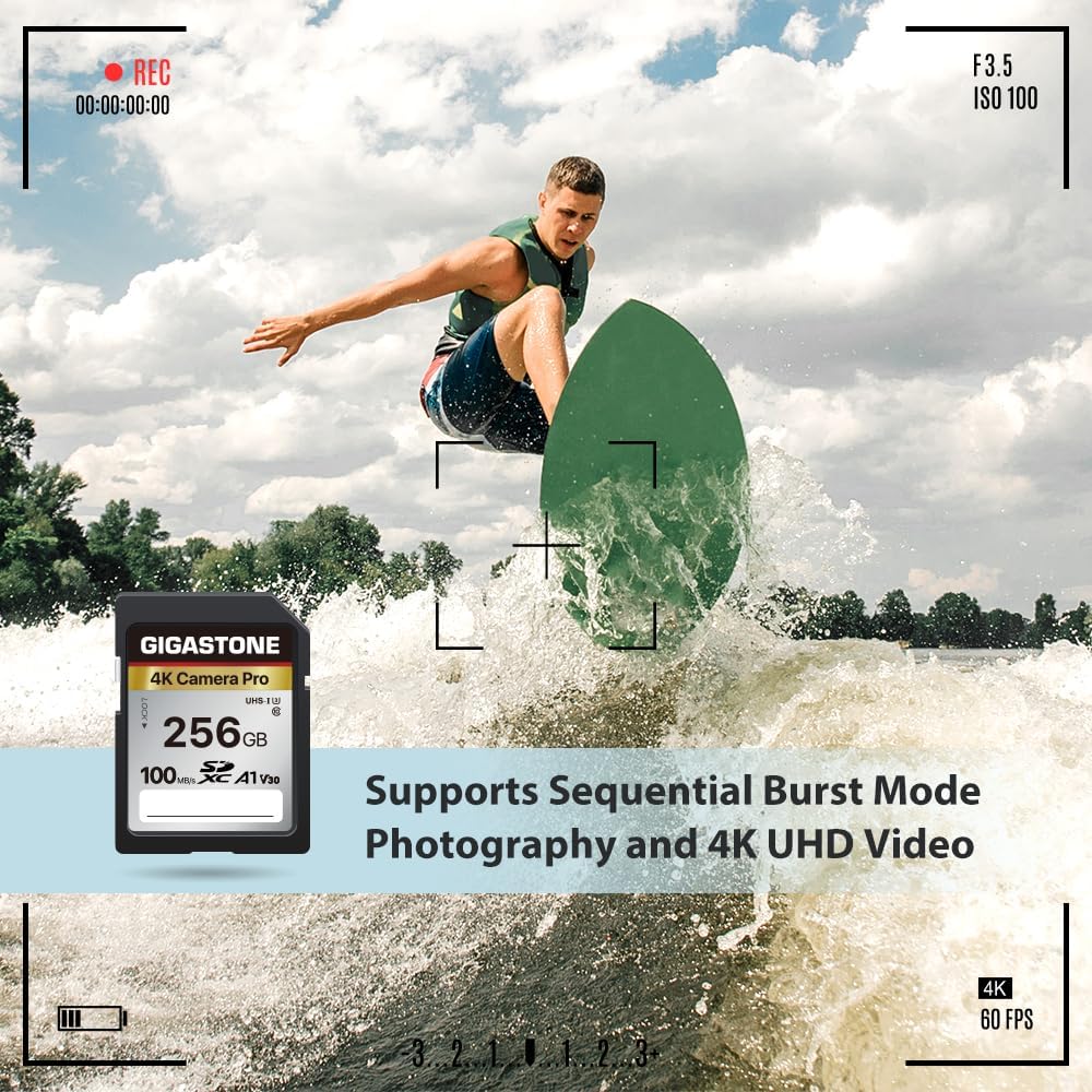 【5-Years Data Recovery】 GIGASTONE 256GB SD Card, 4K Camera Pro, A1 V30 SDXC Memory Card 4K UHD Video Compatible with Canon Digital Camera, with 1 Mini Case