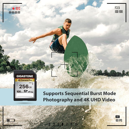 【5-Years Data Recovery】 GIGASTONE 256GB SD Card, 4K Camera Pro, A1 V30 SDXC Memory Card 4K UHD Video Compatible with Canon Digital Camera, with 1 Mini Case